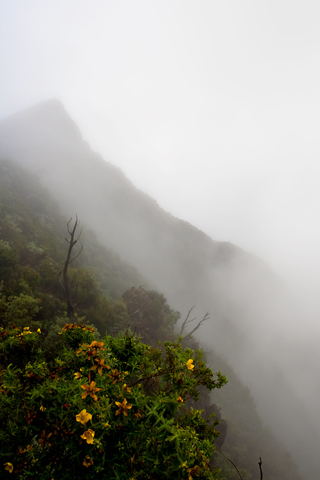 Road to Fournaise #02