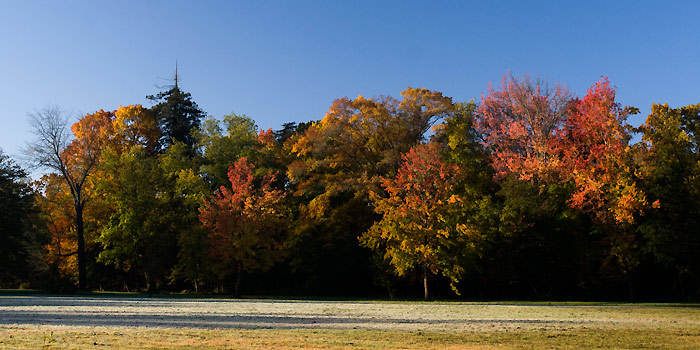 Eté indien médocain / Medoc's Indian Summer #01