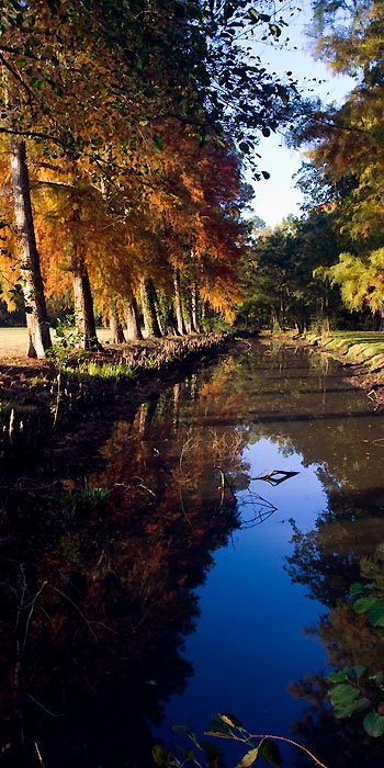 Eté indien médocain / Medoc's Indian Summer #04