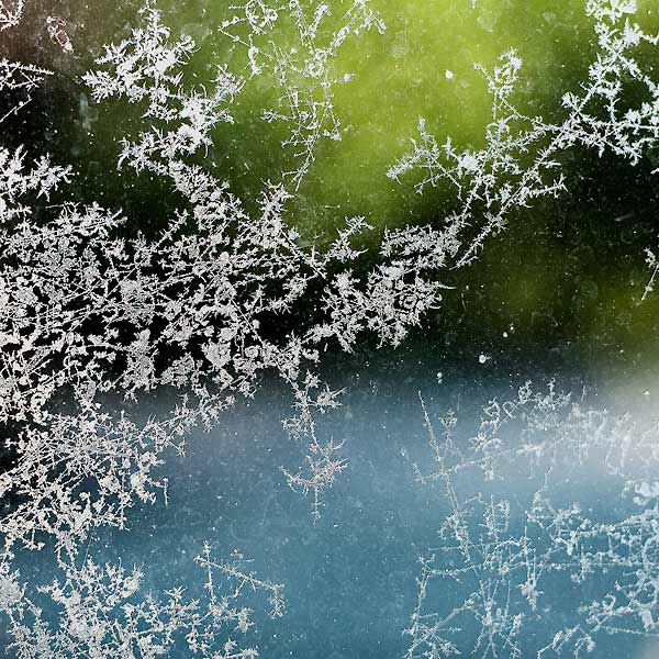 Jardin hivernal #09