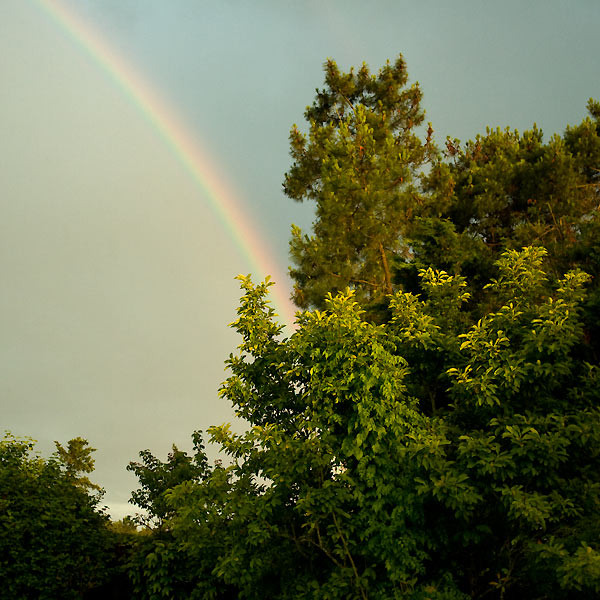 Arc-en-ciel-en-couleur